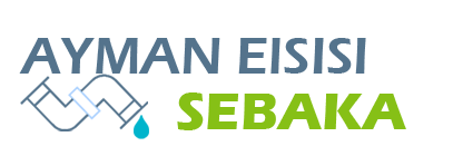 Ayman Elsisi Sebaka